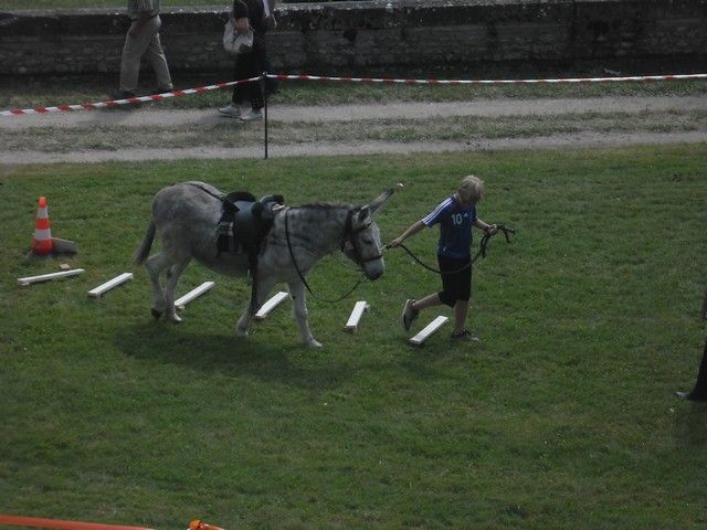 fete ane 2014 (60).jpg